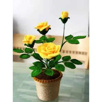 Super Rose Plant